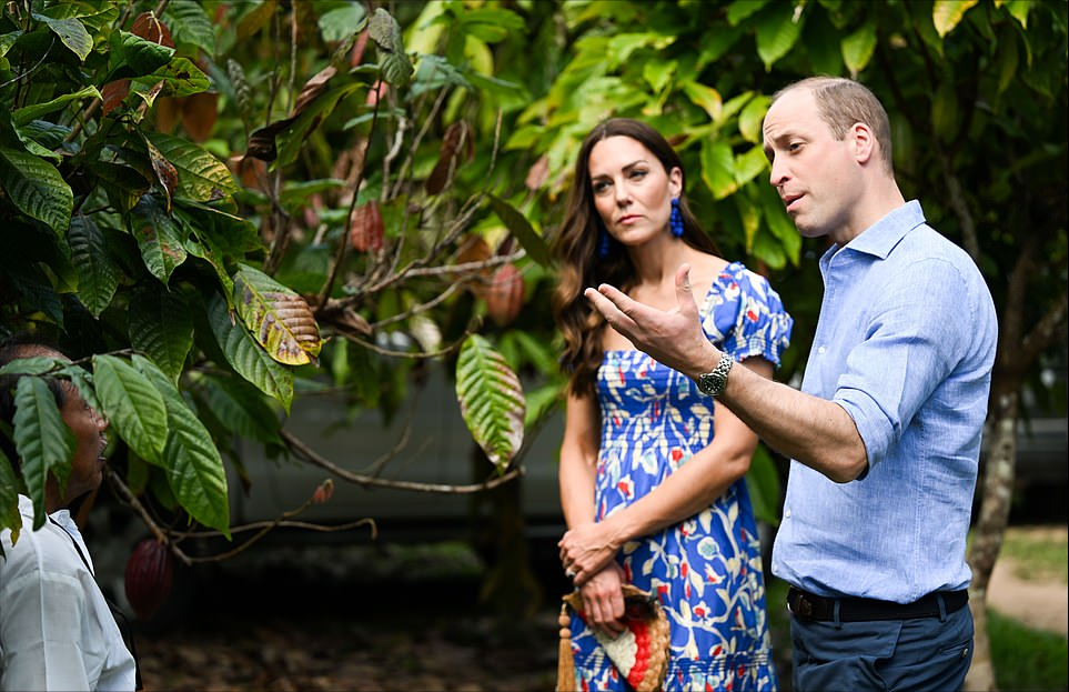 路易·亚瑟·查尔斯|3岁路易王子罕见亮相!在公园玩滑板车太萌,和乔治一样有大长腿