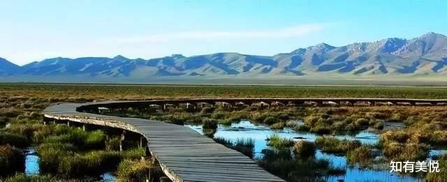 黑龙江|国内值得去的六大沼泽湿地,每个都美得与众不同,你去过几个呢?