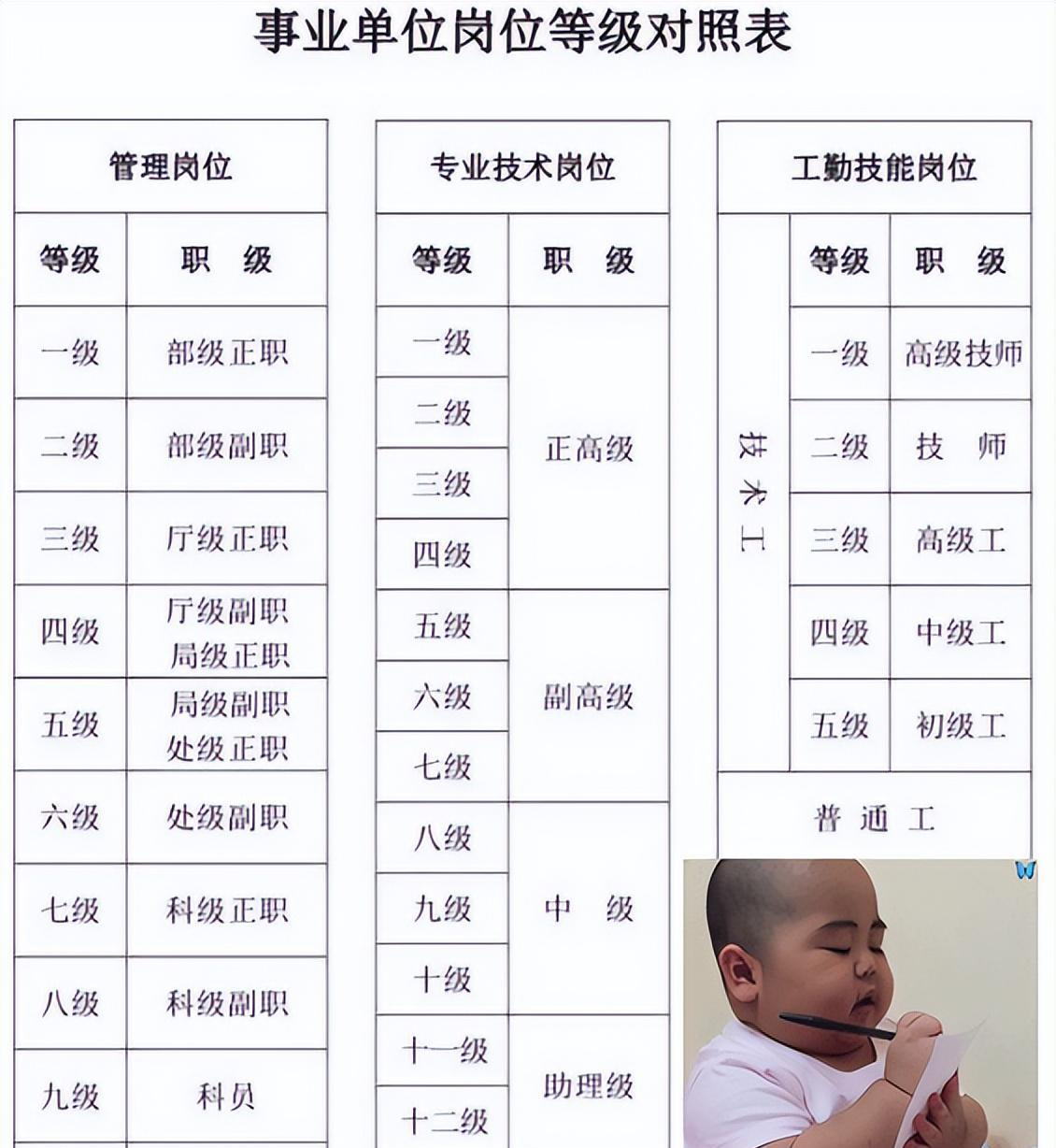 应届生|疫情以来最稳定的4个职业出炉，都很看重学历，2023应届生需了解