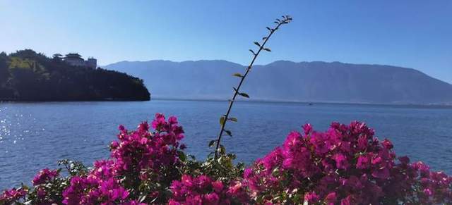 |拍遍天下美景 王国平开创旅游线路短视频