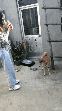 华为|“华为1996年的招聘广告,大家自己感受一下!”