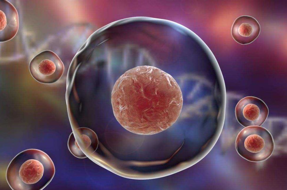 脐带|42岁杨怡晒孕照,自曝为二宝存脐带血,脐带血是不是“智商税”