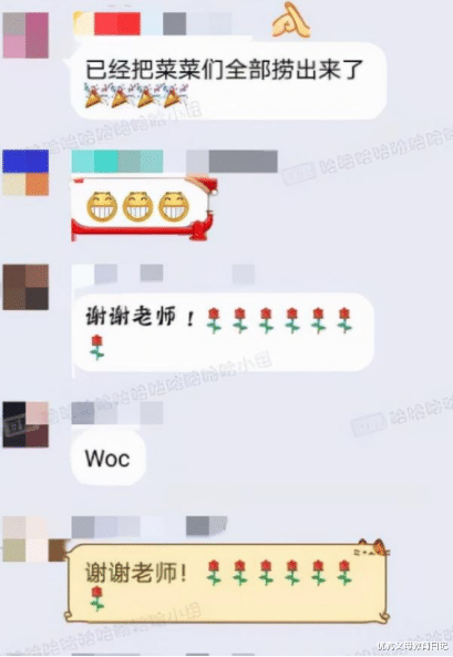 教师|使尽浑身解数却仍惨遭挂科，大学生找上办公室，教师：真的尽力了