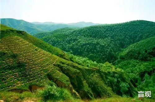 |退耕还林，退耕还草，林和草是不一样的