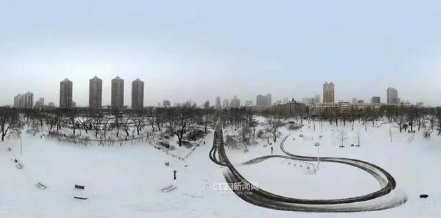 雪容融|下雪了，满街都是“雪容融”｜冰城人已经在冰场、雪地撒欢儿了