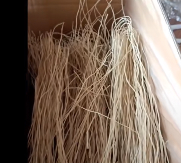 企业号|田静开企业号为直播疏通障碍,杜女士等人也很忙