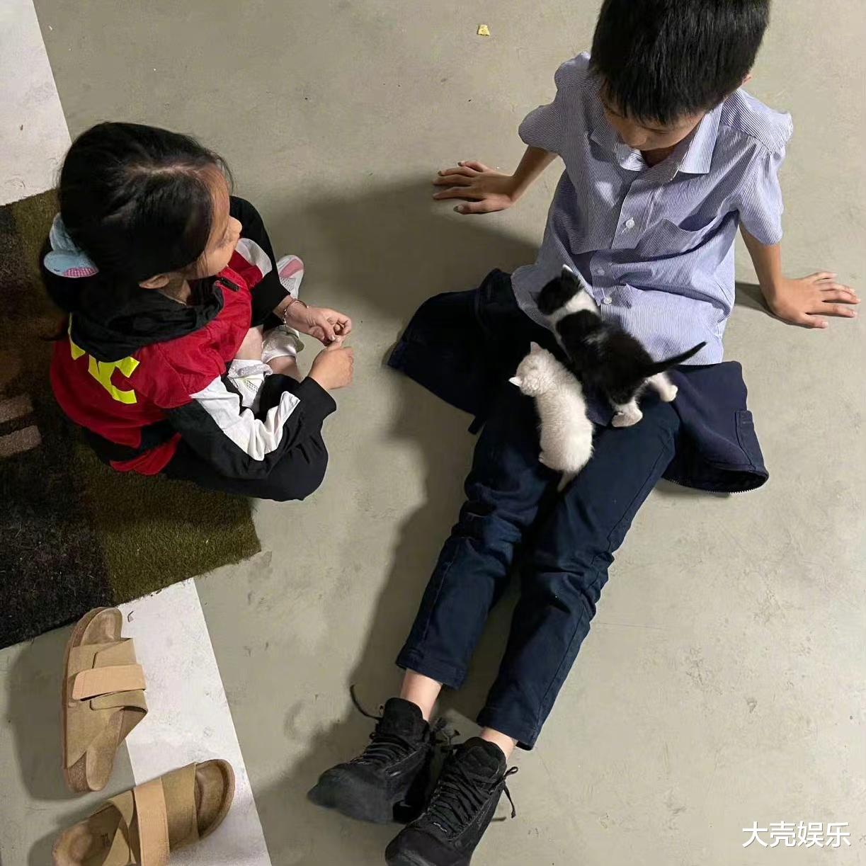 孙俪|孙俪晒孩子和猫咪相处日常,猫咪是去年捡的,网友夸她人美心善