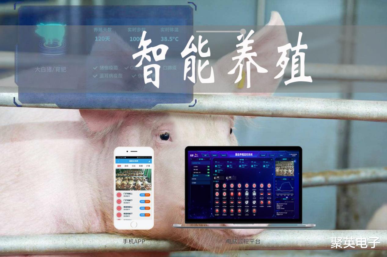 智能养殖系统有啥用,手机智能管理养殖场,解放人力