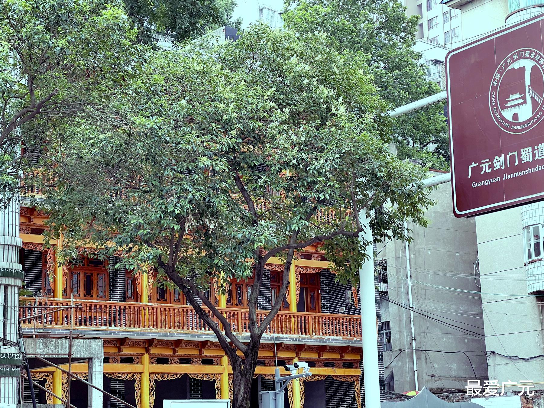 乾隆|将军桥木塔，始建于乾隆年间，塔型非常漂亮，一起来看看吧！