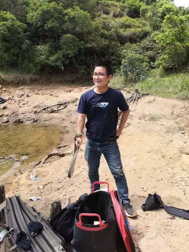 银环蛇|蛇是钓鱼人的威胁?一盘菜尔,防范攻略分享