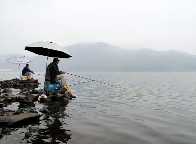 饵料|野钓大鱼，还是这套“绝杀钓法”最实用，水中大鱼任你拉
