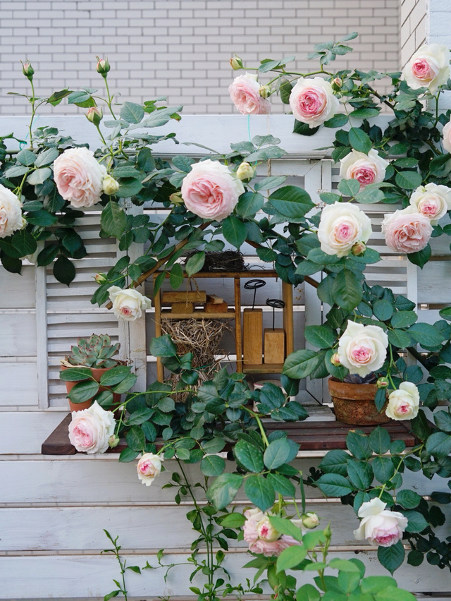 35㎡楼顶露台，亲手打造空中小花园，这才是顶楼的正确打开方式