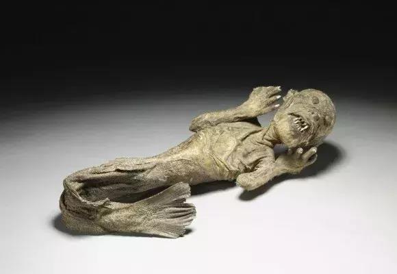 真实存在于现实,传说中的6大奇异生物标本,真相却让人哭笑不得