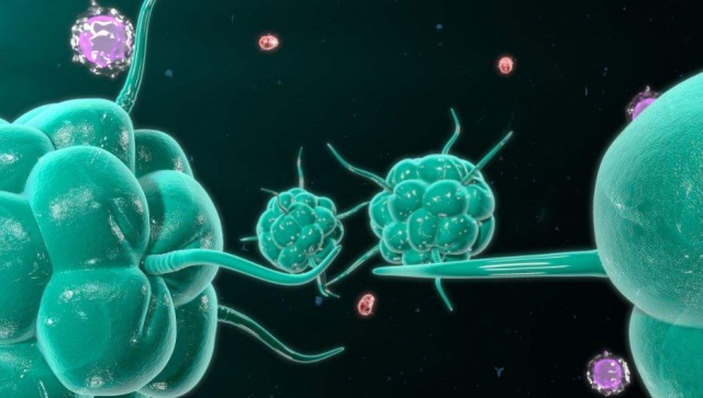 |有这5个特点的人,可能是“绝癌体质”,若你也是,恭喜你