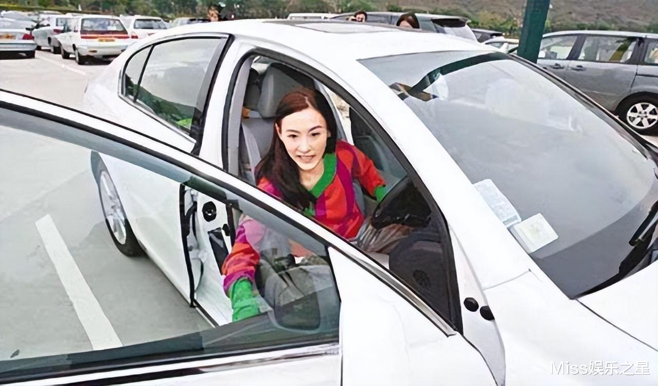 张柏芝|王菲手握10套房,张柏芝坐拥10台豪车,两人吸金能力有差距
