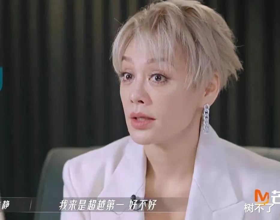 那英|娱乐圈唯一一对，互相“羞辱”却全网嗑的CP