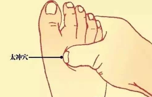 经络|它是人体上的防病“开关”,每天揉一揉,经络通了,少得病