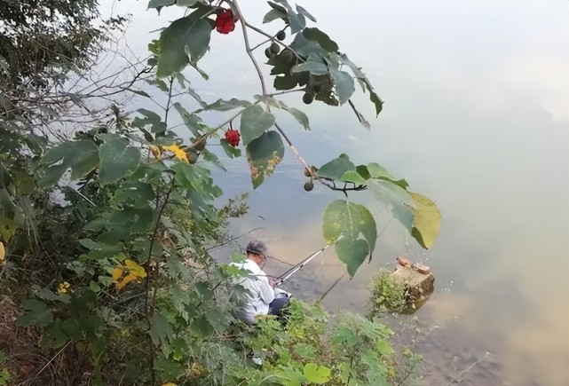 钓鱼指南|7月钓鱼指南:夏至已过“鱼情”已变,想要大鱼狂拉?钓法该换了