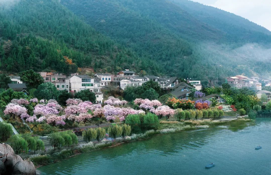 南陵|真正的不夜城!三峡里·竹枝村正展翅飞翔,走向世界…