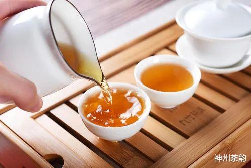 林更新|茶能代表人格，你喜欢什么茶？