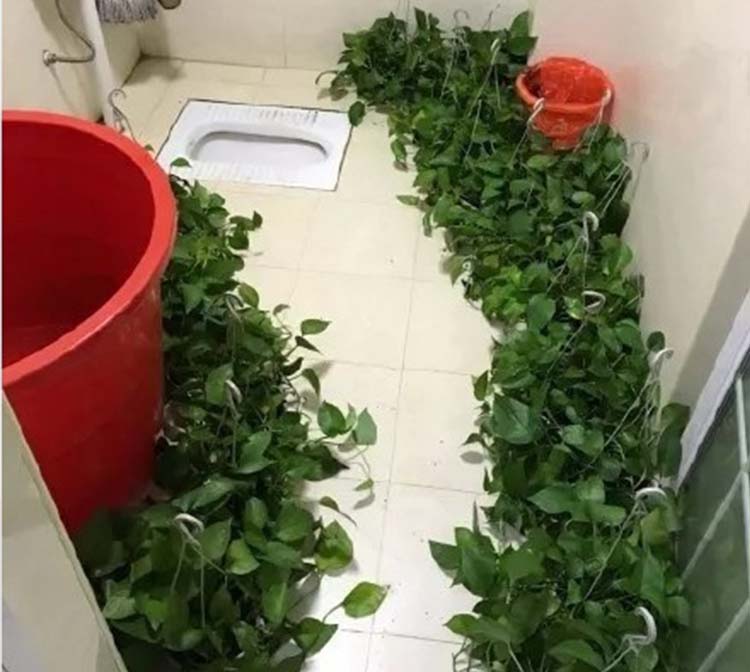 你见过最丑的家装长啥样？网友：土豪的浪漫我承受不起