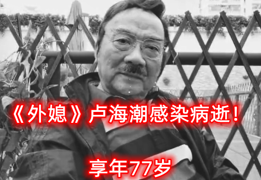 卢海潮|走好!《外媳》卢海潮感染病逝,康伯仅走5天,二嫂:只剩女眷