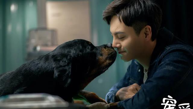 徐峥|徐峥新片虎口夺食！票房6连冠不说，更是创造了国产新纪录！