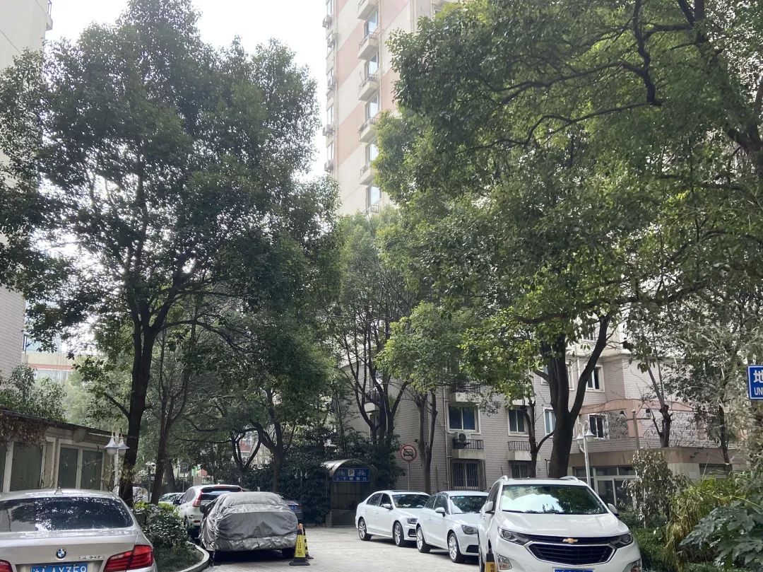 曹家渡|自住升学性价比之选 曹家渡7号线 对口一师附小 沪中新苑测评