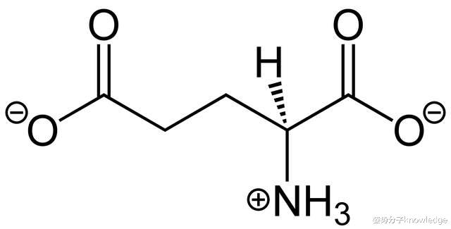 加班会让大脑“中毒”！科学家最新成果：谷氨酸含量增加