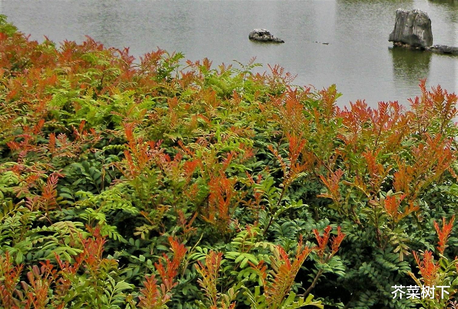 |飞奔职场的你，是不是有点儿太着急？