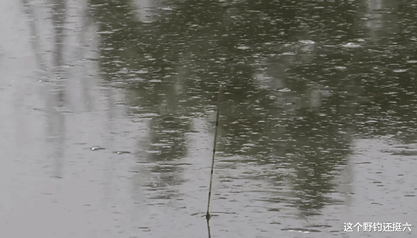 |夏季野钓需要掌握的操作技巧，能够根据鱼情去应对走水，才是yyds