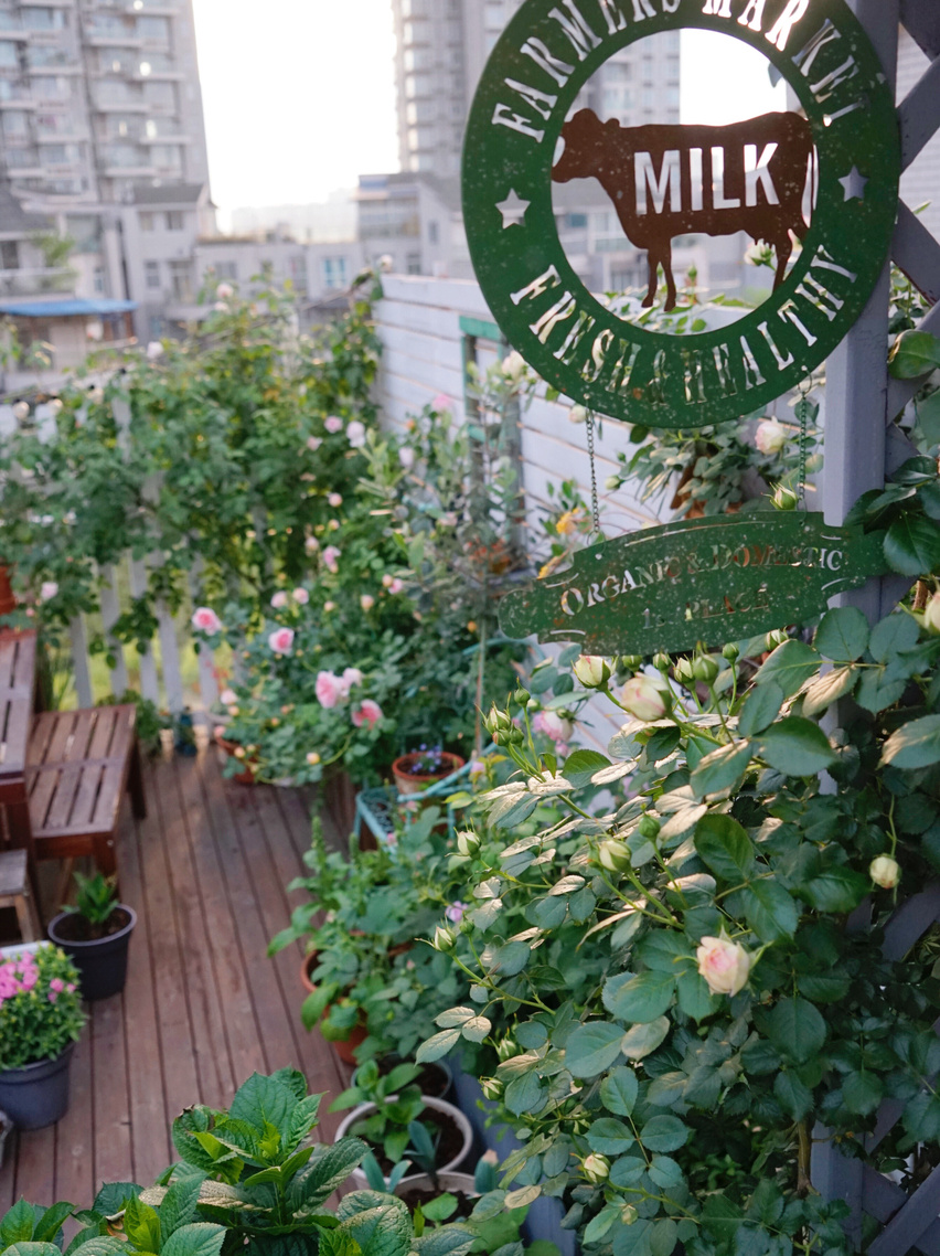 35㎡楼顶露台，亲手打造空中小花园，这才是顶楼的正确打开方式