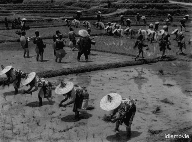 电影|让公司濒临破产的《七武士》，凭什么是日本百部电影第一名？