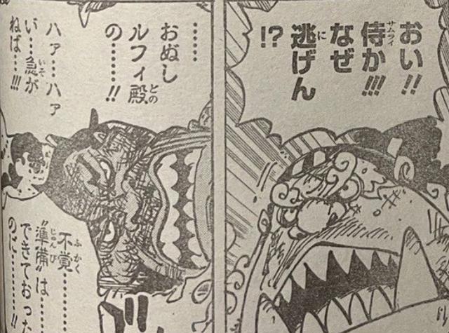 路飞|海贼王第1041话情报图详解看看年轻时的美女大妈路飞最后的四档