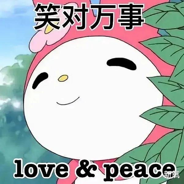 金高银|40w+点赞！金高银《小小姐们》因抹不掉的【松弛感】被骂上热搜？