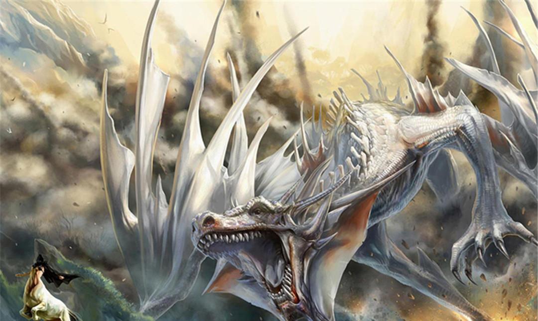 贵州发现古生物化石群,展现“龙”的样貌,龙宫真的有龙?