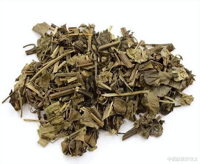 蛋白质|分享一味抗癌良药——石见穿,如水滴石穿一般!消肿散结功效强大