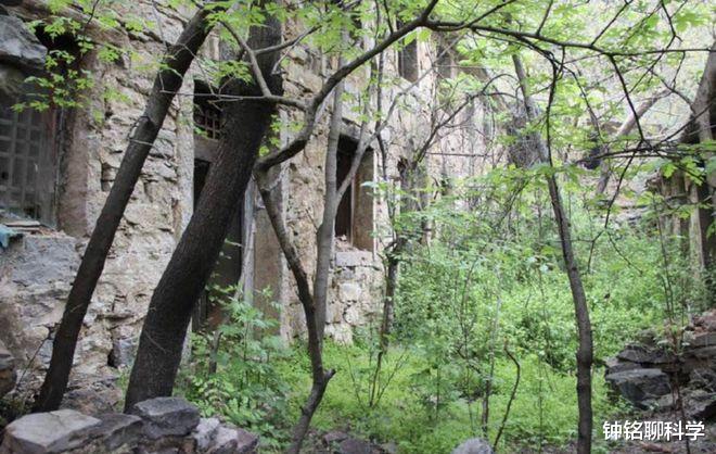 河南|河南一村庄曾是世外桃源,如今空无一人,被当成“中国第一鬼村”