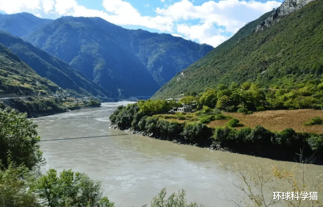 |76.8米“败落”，83.2米！西藏发现中国新“树王”，有什么意义？