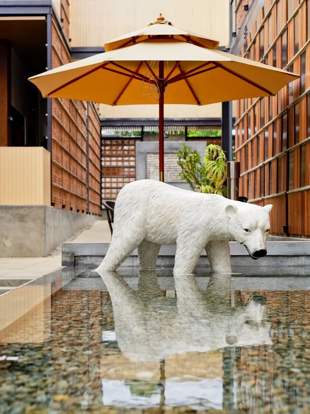 海岛|去海岛只想着游泳？太浪费了