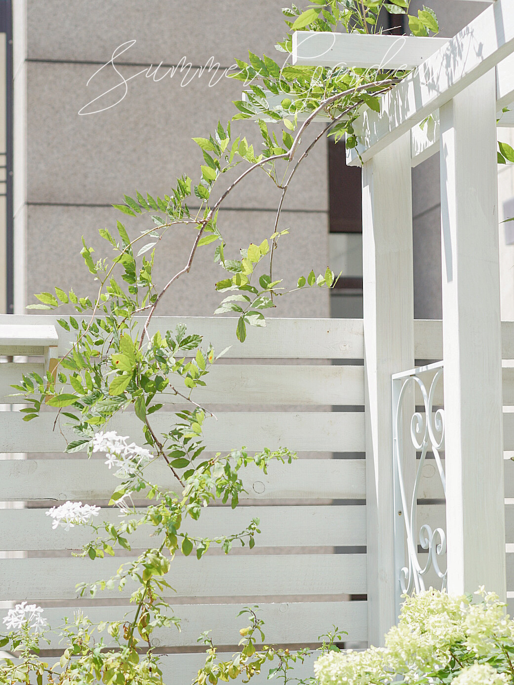 20㎡一楼小院,DIY打造杂货花园,倒腾了一年时间,如今又仙又美