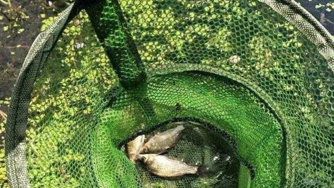 |上鱼窗口期有变？你选对出钓时间了吗？总没口，没摸清鱼情是硬伤