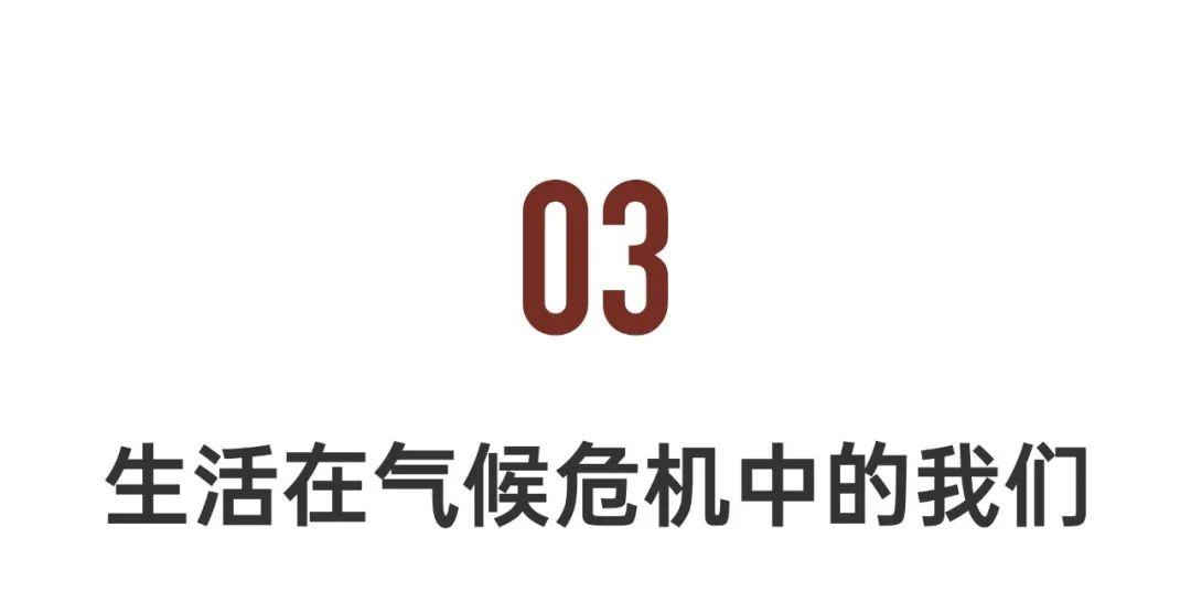 9.7高分纪录片,揭露人类面临的最大危机