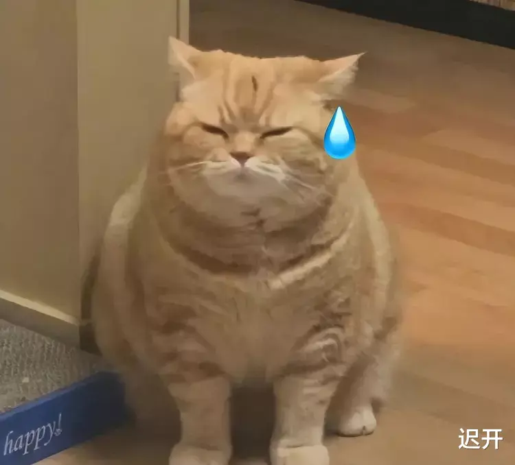 这些网红,终于被全面封杀了