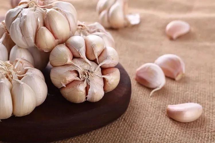 为何大蒜在超市里不发芽，买回家放几天就发芽？原来有这么多门道