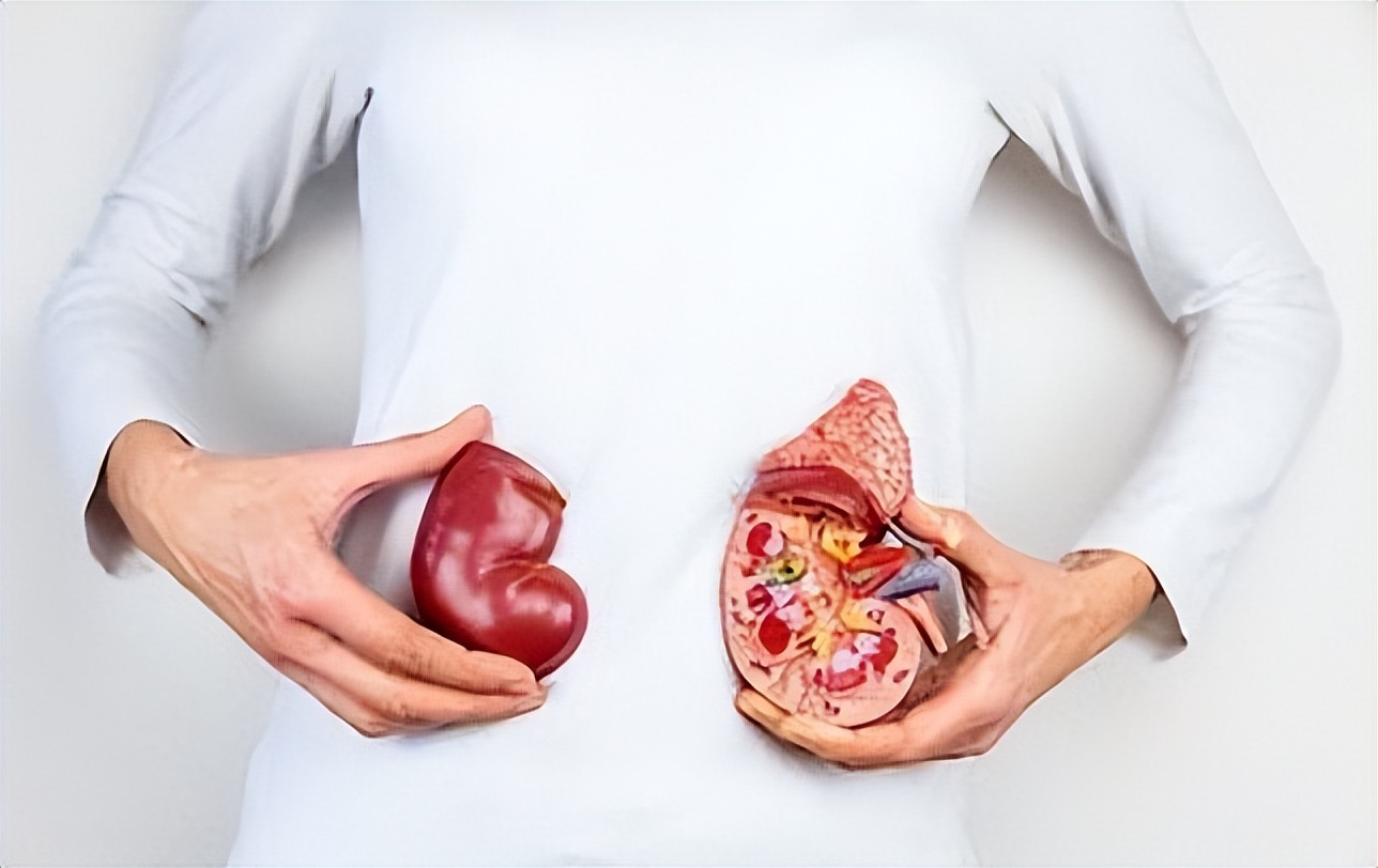 记忆力|养命需养肾,肾不好身体会发出5大信号,分享5个中成药帮你调理