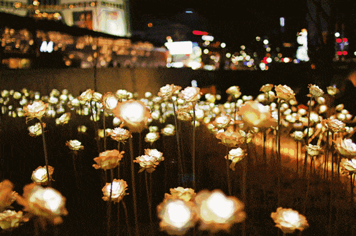 西双版纳|中国最美夜景“灯光璀璨 ”网红打卡地9座城市,你来过吗?