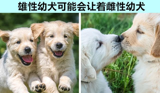 你可能未曾真正听说过的9个动物方面的奇妙知识