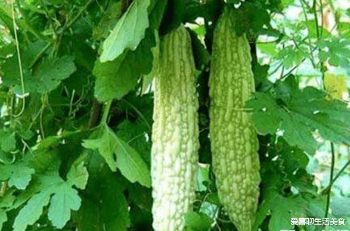 蔬菜 春季，爱美女生要多吃这8种食物，身材苗条皮肤细嫩，做冻龄女神