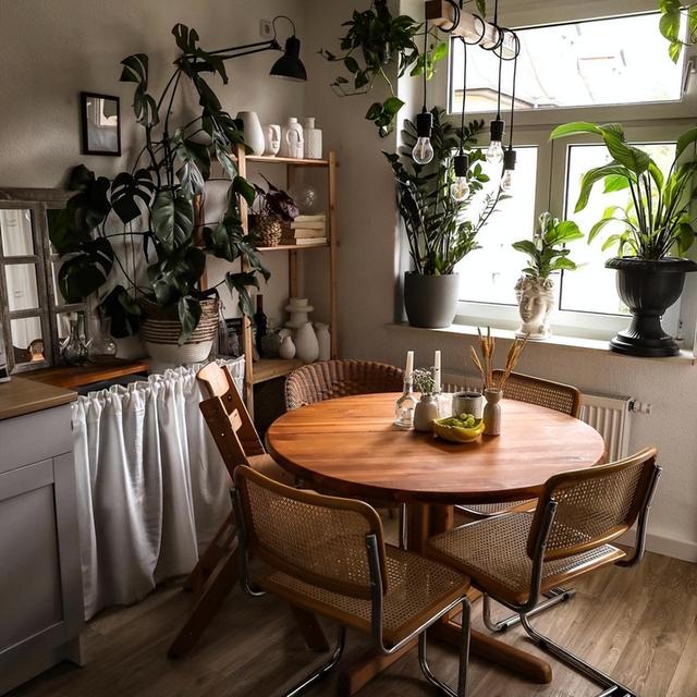 太美了，她在家里摆了1000株绿植，犹如小森林，将生活过成了诗